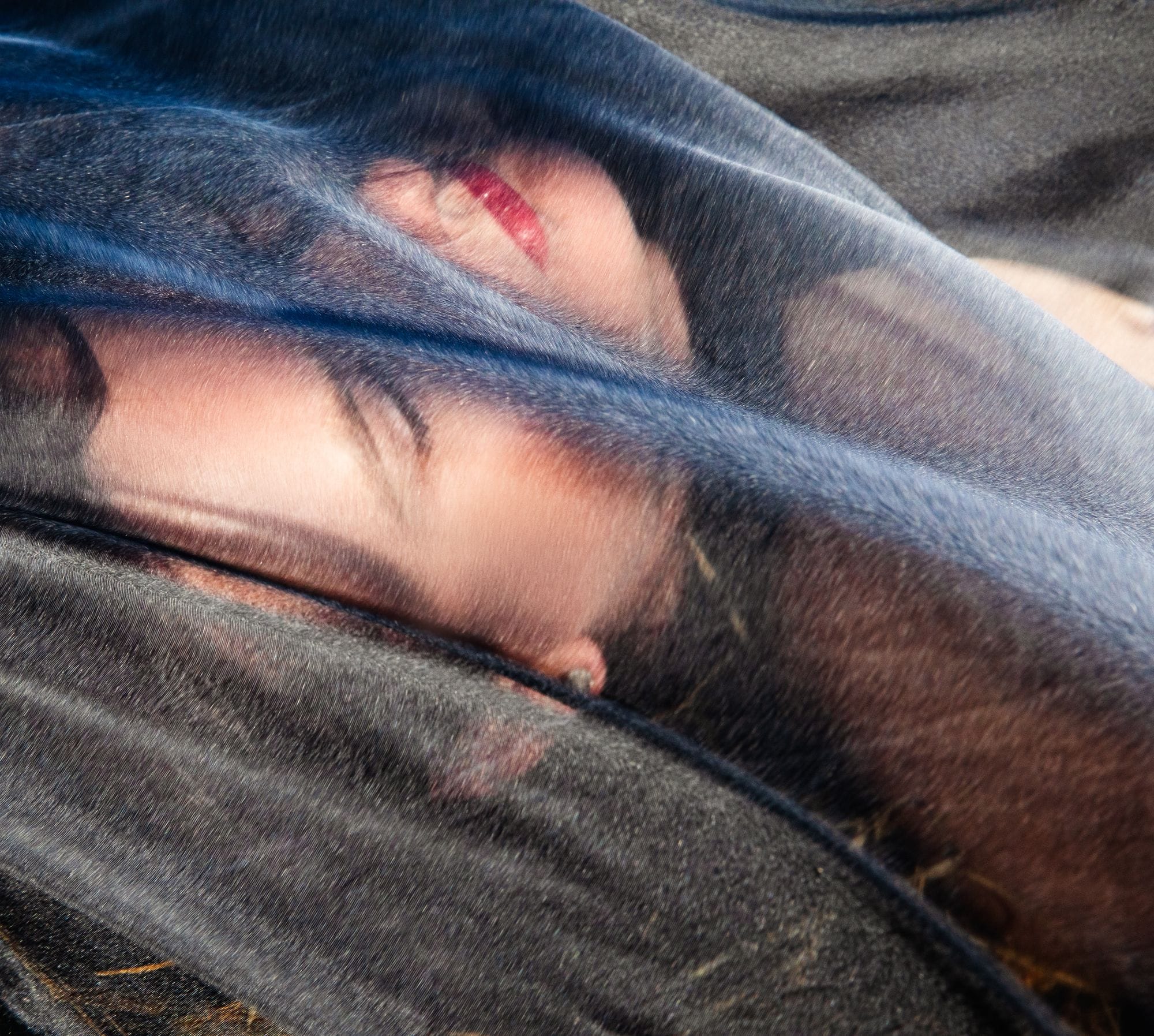 © 2019 Aliona Kuznetsova