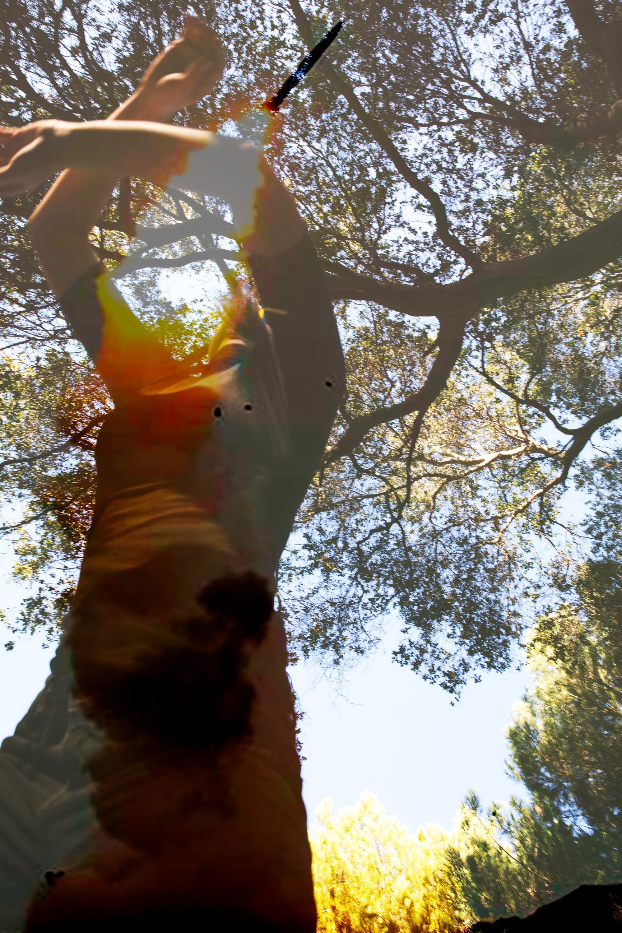 © 2019 Aliona Kuznetsova