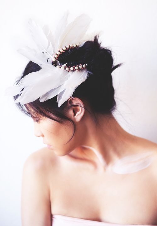 Swan Princess